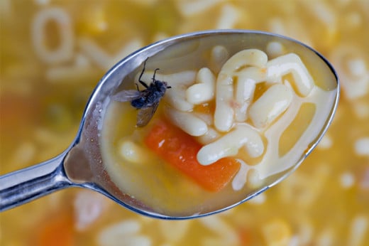 Eww! Fly in soup