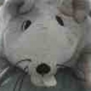 davelepg profile image