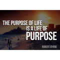 What's your purpose?