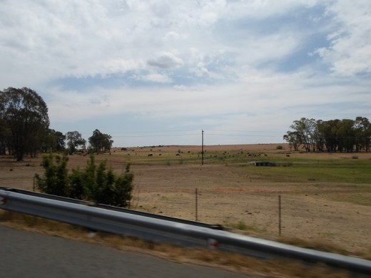 Free State, South Africa, R30, between Bloemfontein and Bothaville