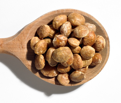Inca peanuts.  Learn about them in Devika's new book.