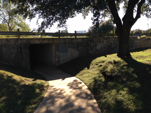 Walking trail at Davis Spring  Park (The Trailhead)  Austin Texas