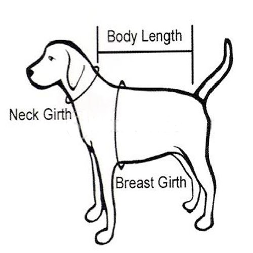 How to Measure Your Pet for Clothes Size