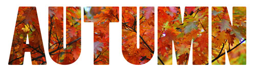 Autumn Stylized Lettering with Fall Leaves Fill