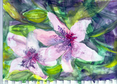Lily Stars - 2014 gouache on mixed media paper
