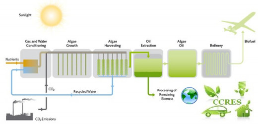 Process flow diagram of biomass being converted into biofuel 