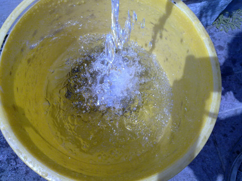 Don't you love to see water flowing in the bucket? 