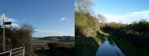 Left- The Whitelane sign, with Garstons in the background. Right- The Tennyson Trail