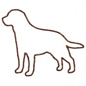 Merely Musings profile image