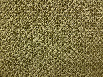 Berber or loop carpet.  This carpet wears very well, is usually 80 to 90% Olefin and 10 to 20% nylon, and because of its construction the face weight isn't quite as important.  This type of carpet can snag easily from pet claws.