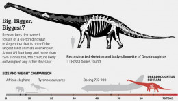 dreadnoughtus schrani