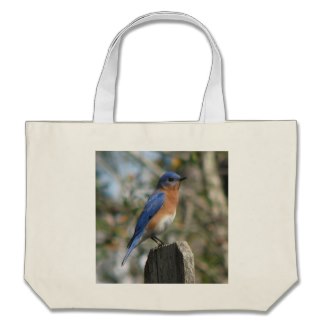 Put a bluebird house in this bag and a birder will be over joyed.