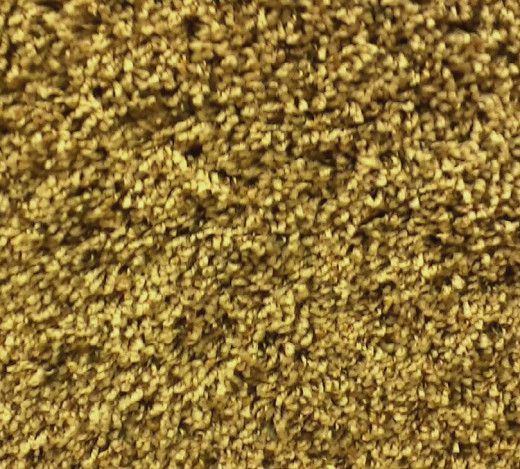 Twist carpet.  This is similar to texture carpet but has a coarse appearance with yarns at varying heights. Sometimes called California shag.