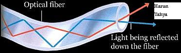 optical fiber optical fiber