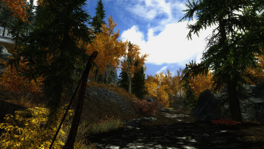 Forests return in Skyrim, but this time they do not cover the world.