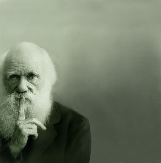 One would be foolish not to accept, or at least respect, what Darwin has stated.  If you don't stop and take assessments of what you have and what you need in order to survive, you will not succeed.