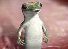 Gecko