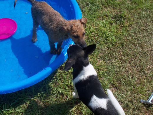 Meeting and making new friends.