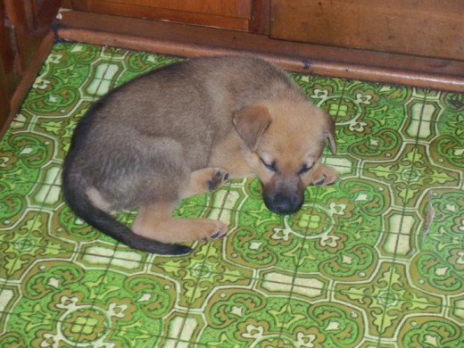 Separation can be a good thing. Less stress, good sleep.