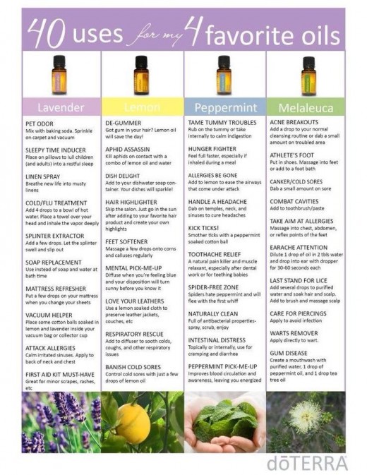 Make Your Own Fragrances and Cleaning Products with Essential Oils