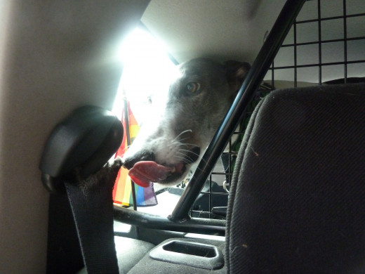 Nom nom nom nom nom.... Doh... caught in the act!