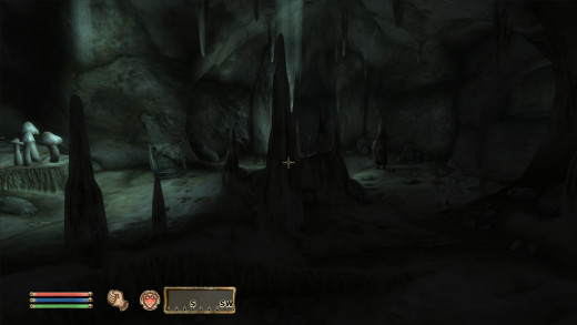The caves in Oblivion tend to suffer the worst from the similarity between dungeons.