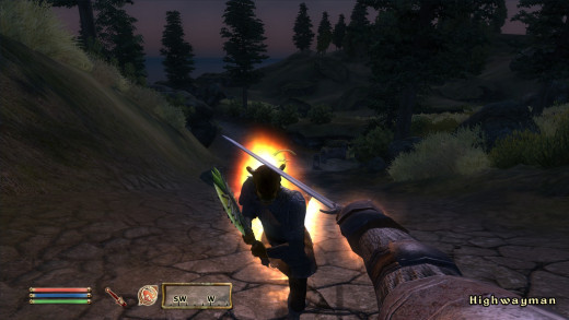 The ability to use magic with your weapon drawn is the most missed part of Oblivion's combat.