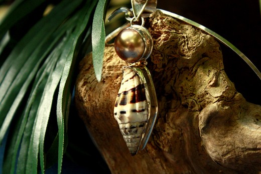 Maleku jewellery on the mysterious monkey head stump. 