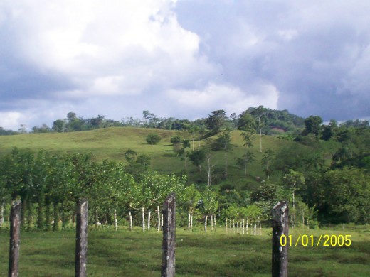 Maleku indigenous reserve. "This used to be a jungle, now it's a farm." - Photographer 