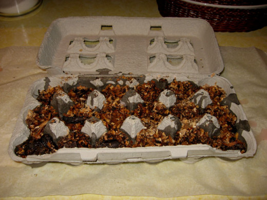 Set the egg carton on wax paper to protect the counter as the melted wax may seep through if you put too much in the cups. Fill the egg carton cups with sawdust as shown. Pour in enough melted wax to dampen the sawdust. It doesn't take a lot. 