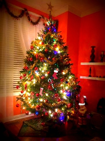 Fresh Christmas tree all lit up and smelling good. ~