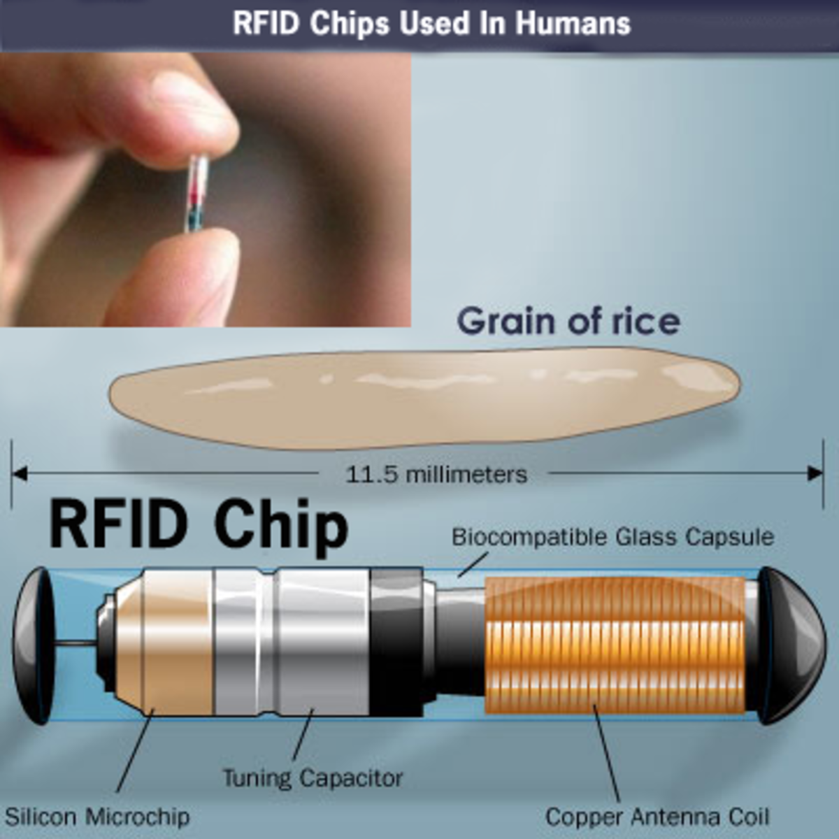 Just the size of a grain of rice RFID tracking is proving popular amoungst people and animals