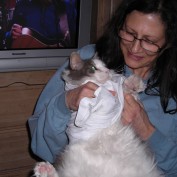 georgiablue1 profile image