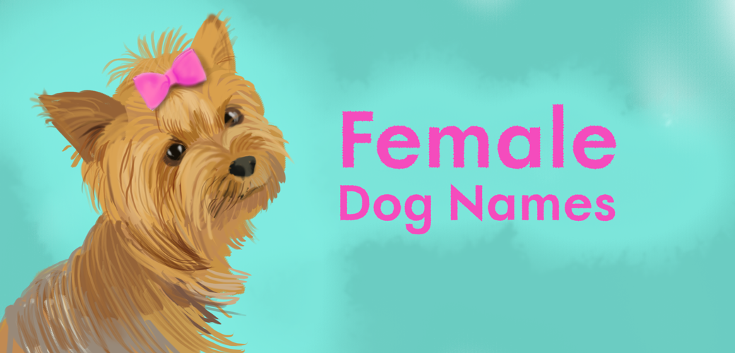 What are some names for female dogs?