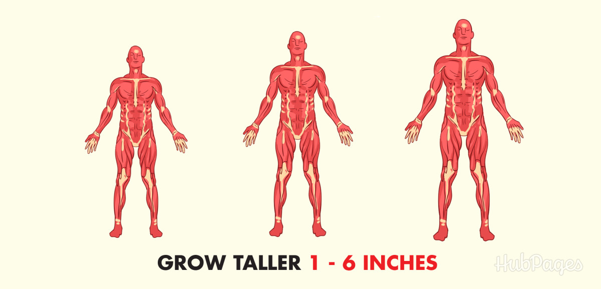 how to grow 6 inches taller by stretching