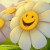 Happiness