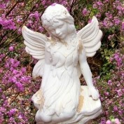 AboutAngels profile image