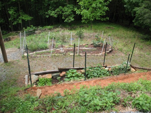 This little garden near Blowing Rock, NC is proof that you don't need a huge space to grow oregano, fresh tomatoes, onions, garlic, and beans.