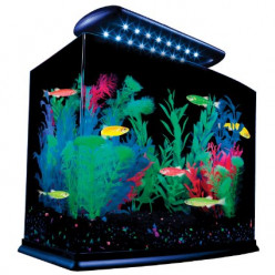 Best Fish Tank Kits and Aquariums