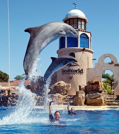 Seaworld