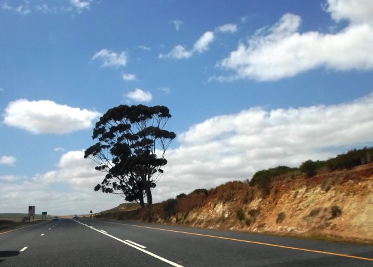 Between Grabouw and Caledon, Western Cape, South Africa 