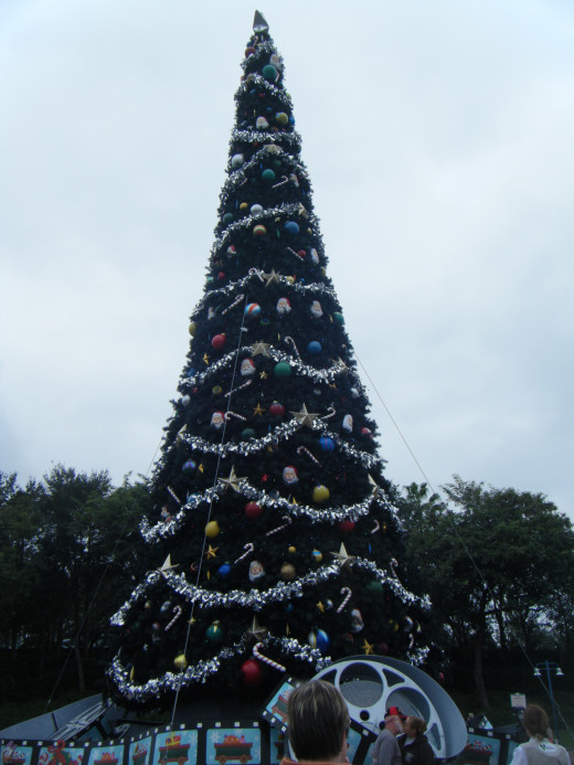 The giant Christmas tree outside of Disney Studios.