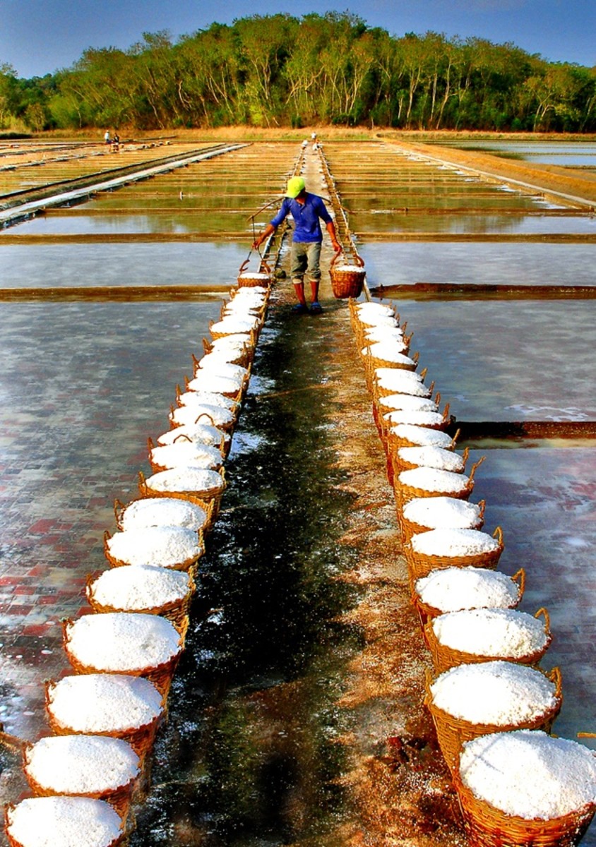 Salt Farm in Pangasinan, Philippines (Photo credit: Pixoto.com)