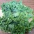Kale Kale