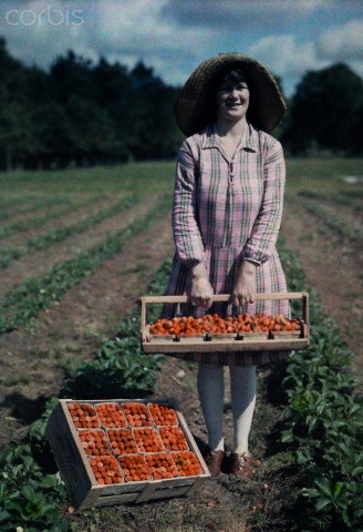 Girl in strawberry patch somewhere in California in the late 1940s selling fresh strawberries