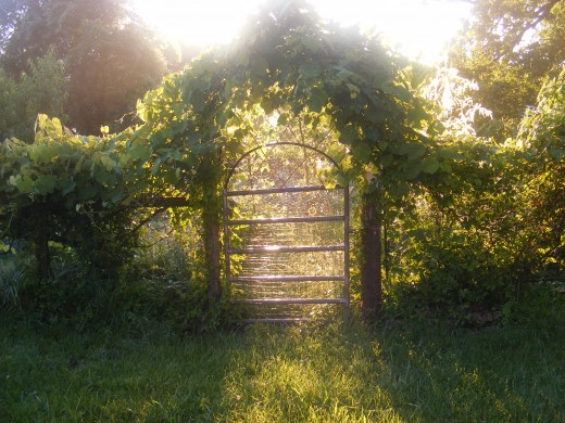 The Gate at Sunrise