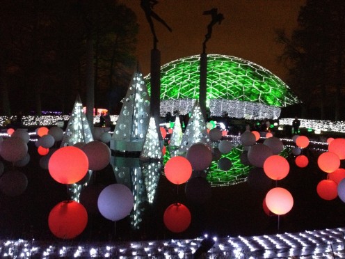This is one of my favorite photos of the night.  My husband took this one I think.  The Climatron is in the distance, and you see the reflecting pools.