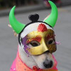 luffi profile image