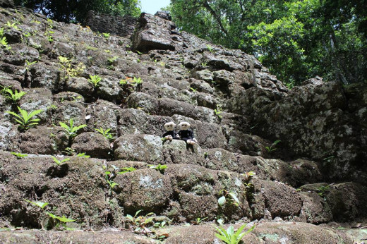 Mooch and Mooch hangin' out on a Mayan temple.