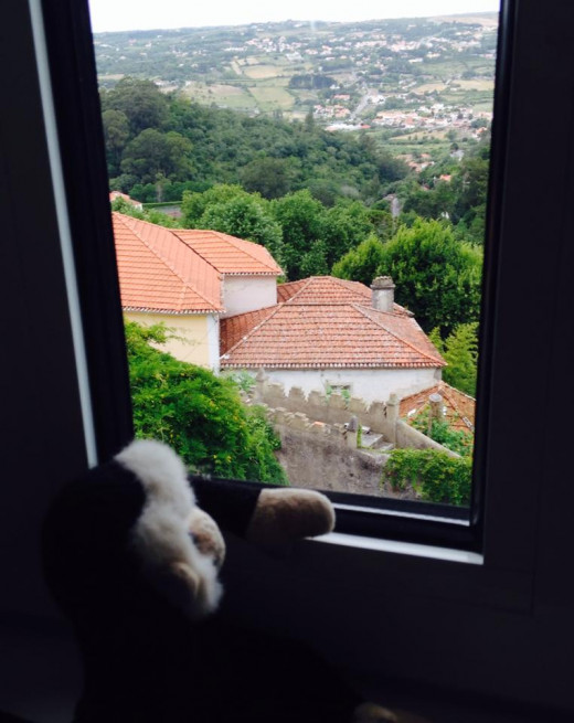 Mooch arrives in Portugal.